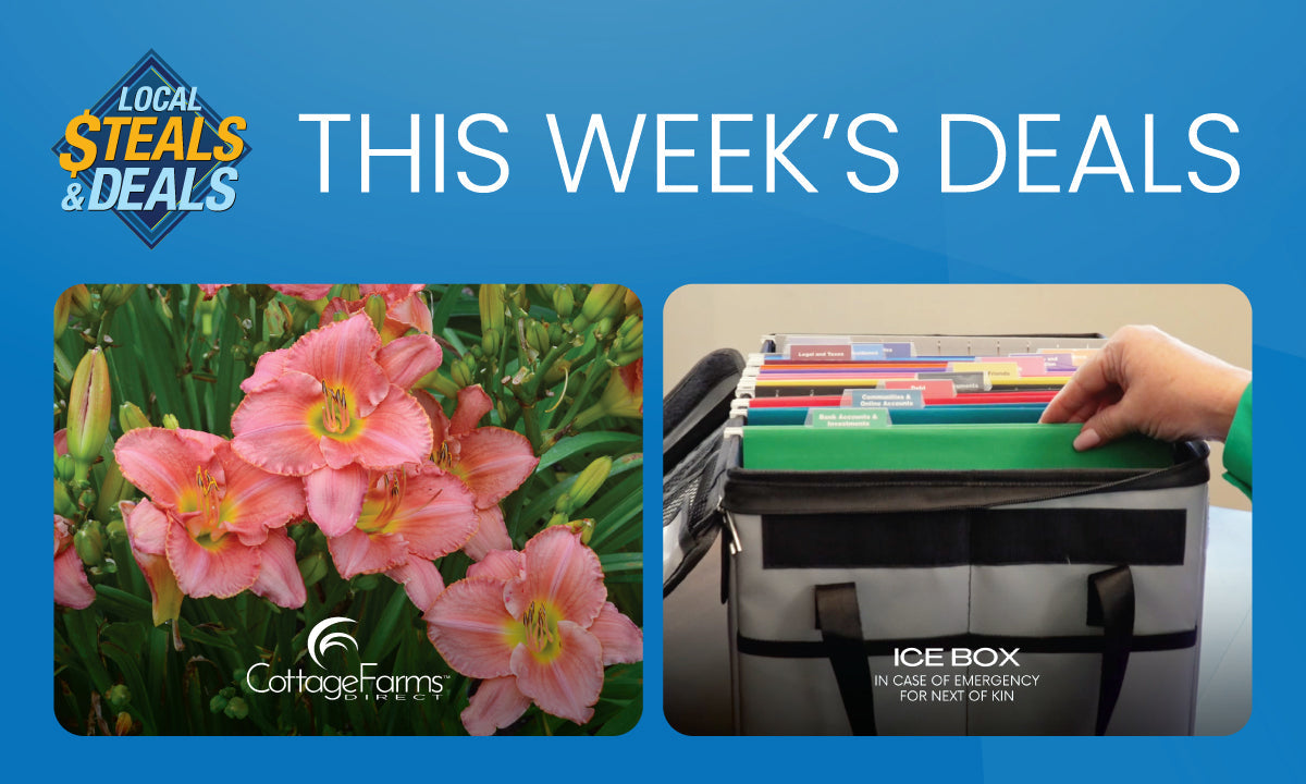 Full Blooms and Smart Planning with Cottage Farms and ICEBOX