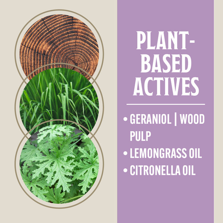 Product packaging with plant-based actives like geraniol, wood pulp, lemongrass oil, and citronella oil on a beige and purple background.