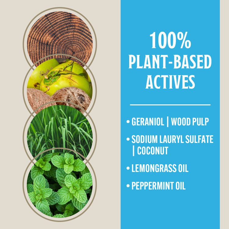 Product packaging with plant-based ingredients and a blue background