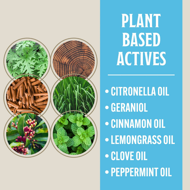 Collection of plant-based ingredients including citronella oil, geraniol, cinnamon oil, lemongrass oil, clove oil, and peppermint oil on a beige background with a blue sidebar.