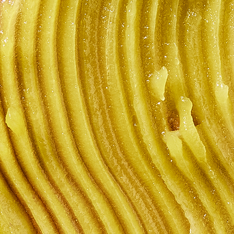 Close-up of a textured yellow surface with concentric circular patterns