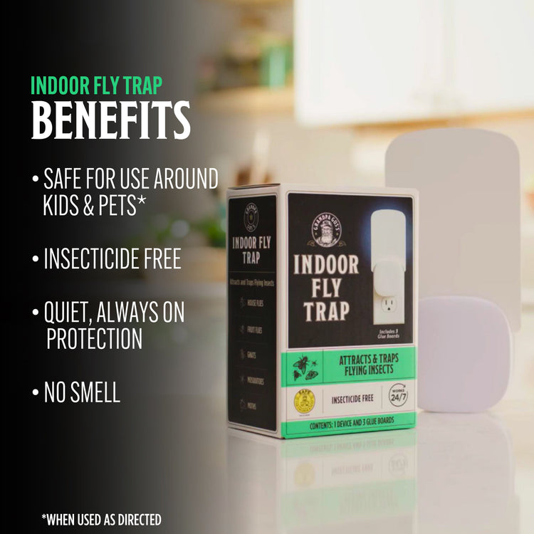Indoor fly trap packaging with benefits listed on a blurred background