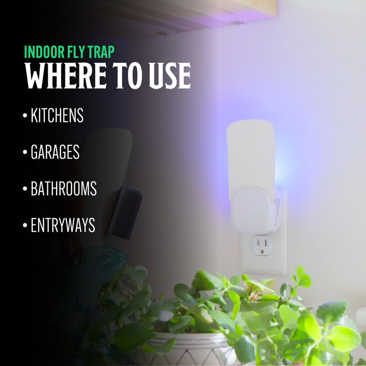 Indoor fly trap device with text on where to use it, shown in a kitchen setting.