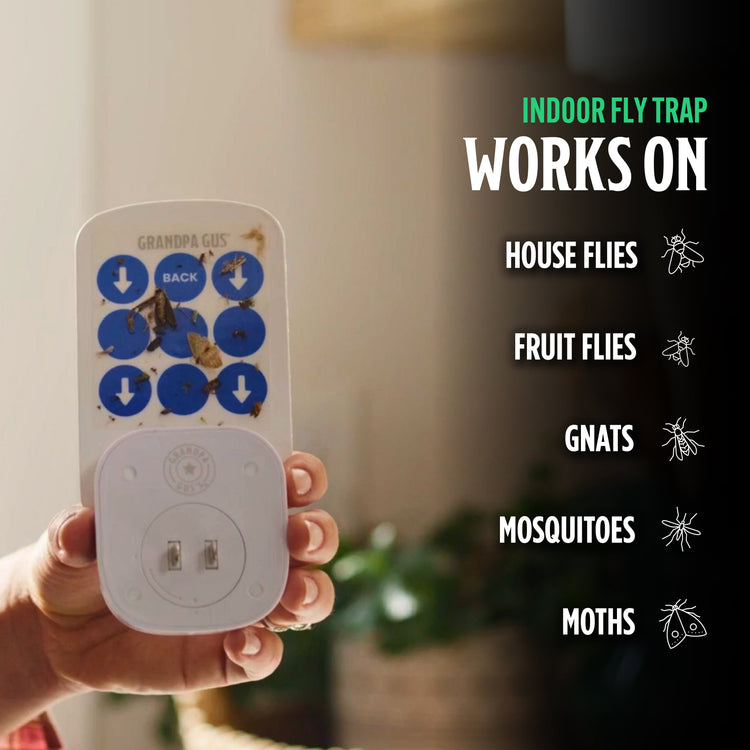 Hand holding an indoor fly trap with text listing pests it works on.