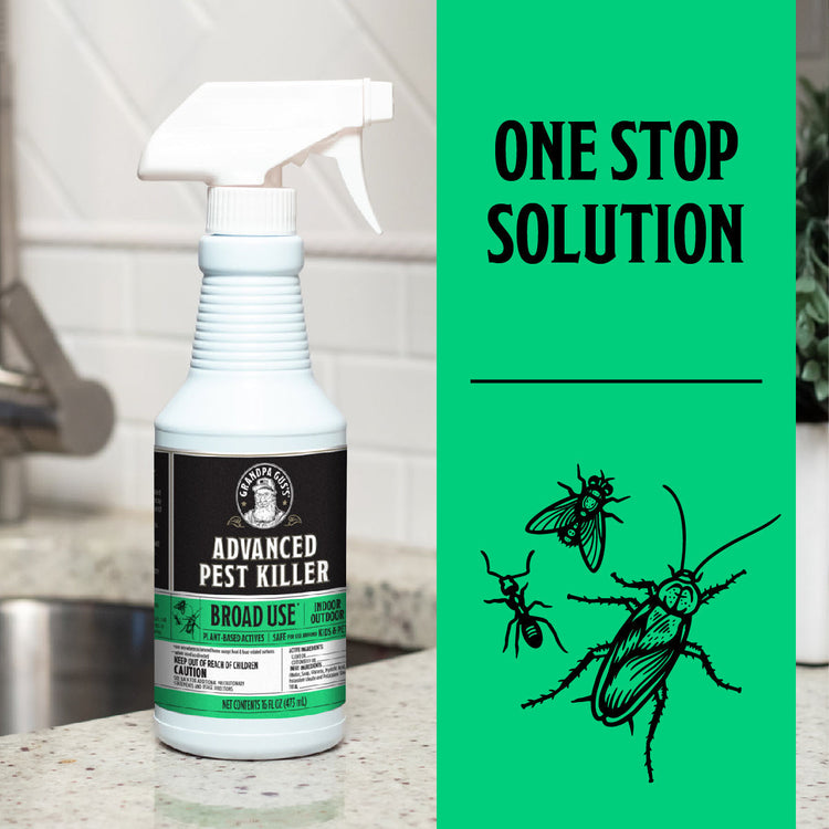 Spray bottle labeled 'Advanced Pest Killer' on a kitchen counter with a green label reading 'One Stop Solution'.