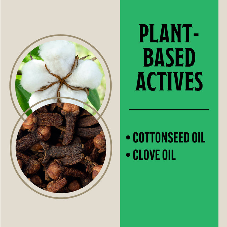 Cottonseed oil and clove oil with text 'Plant-Based Actives' on a green and beige background