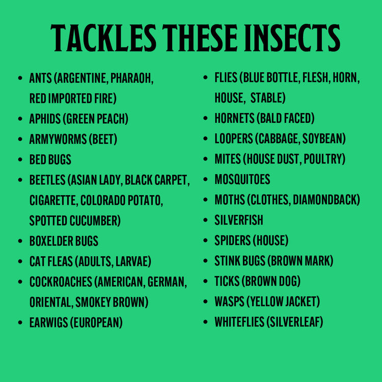 List of insects tackled by a pest control product on a green background
