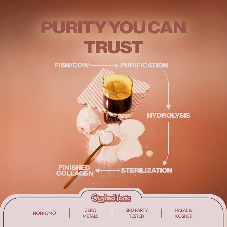 Diagram of a purification process with a glass of liquid on a brown background, featuring the brand 'Crushed Tonic'.