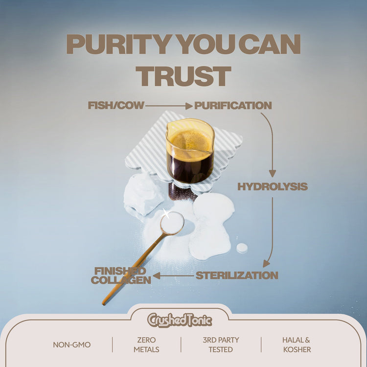 Diagram of a purification process with a glass of liquid and text on a light blue background.