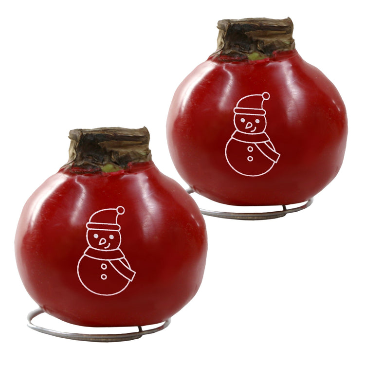 Two red gourds with snowman designs on a white background