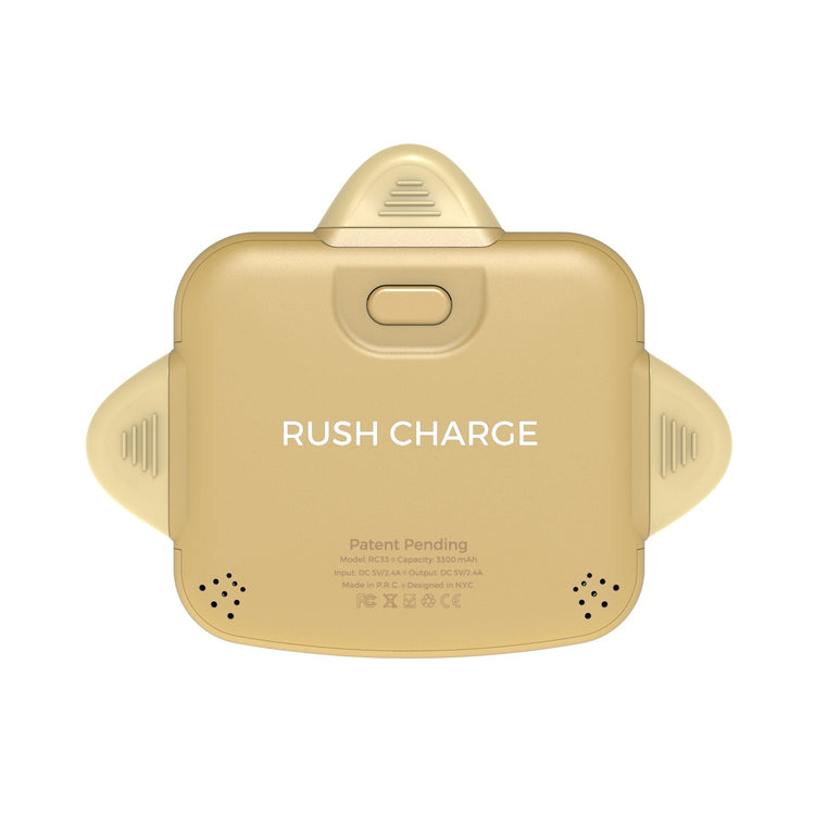 RC Universe 3-in-1 Charger