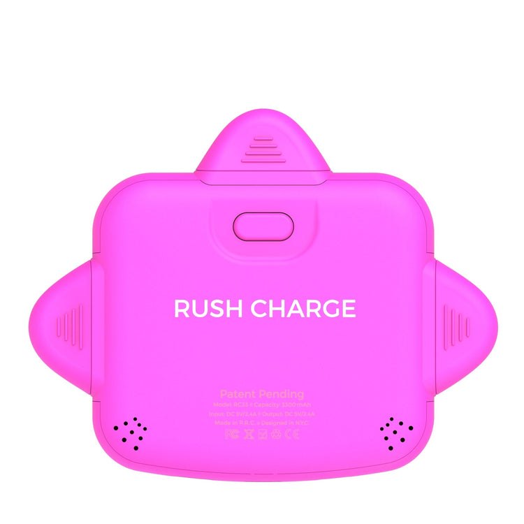 RC Universe 3-in-1 Charger