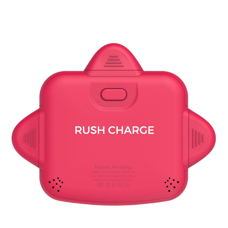 RC Universe 3-in-1 Charger