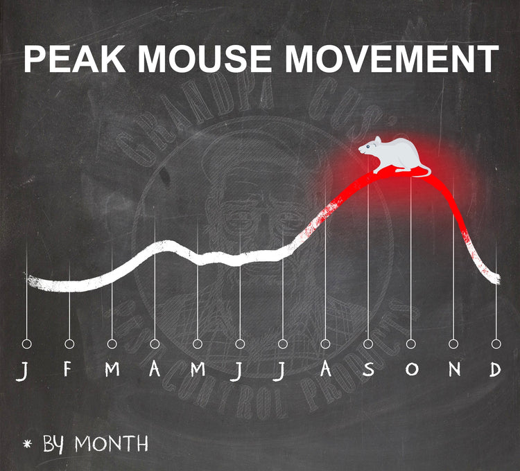 Graph titled 'Peak Mouse Movement' with a mouse icon on a dark background