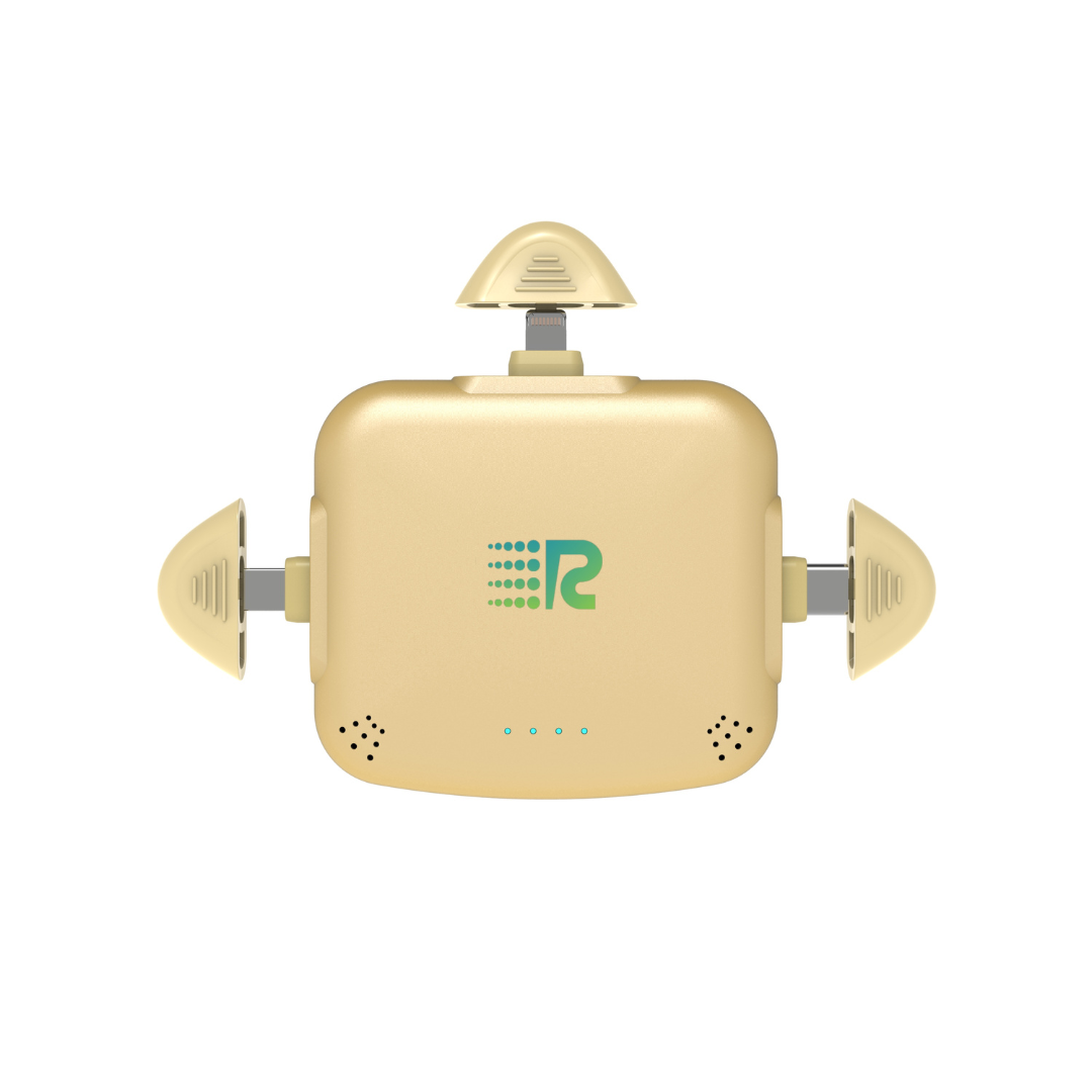 RC Universe 3 in 1 Charger Metallic Gold