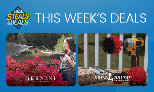 Revitalize Your Home with Bernini and Drillbrush!