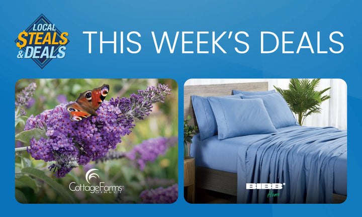 The Ultimate Home Retreat with Cottage Farms Direct & Bibb Home