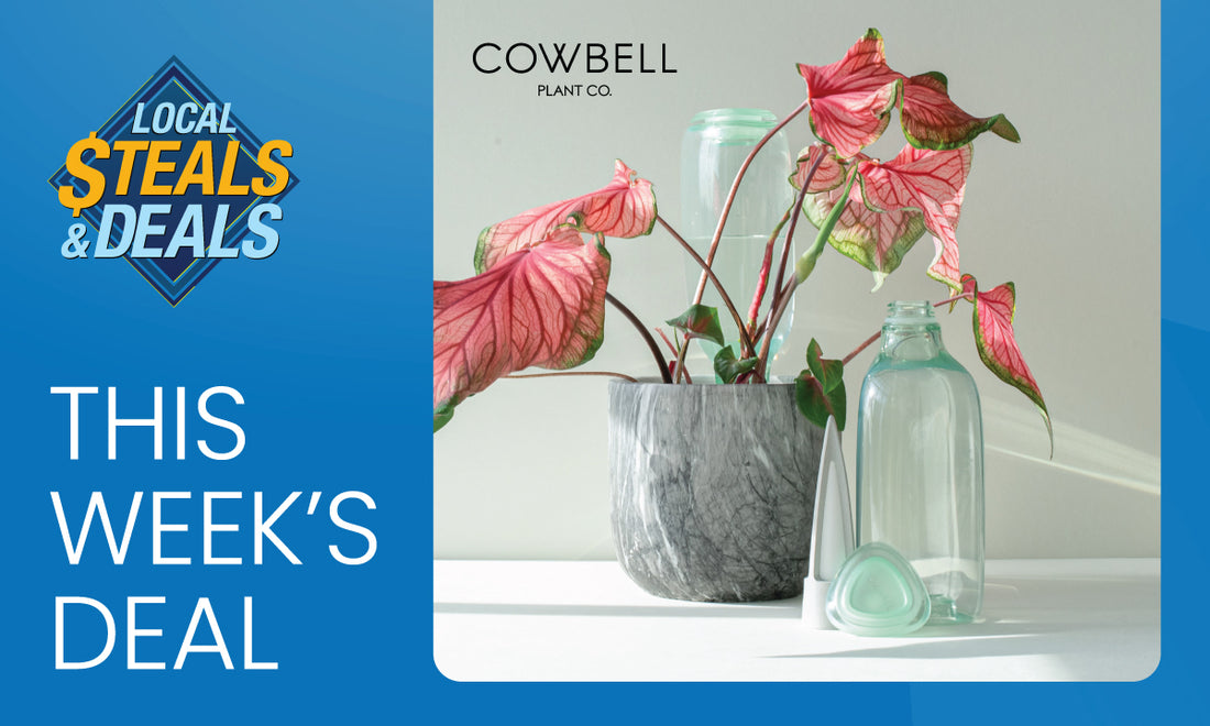 Effortless Plant Care with Cowbell Plant Co.!