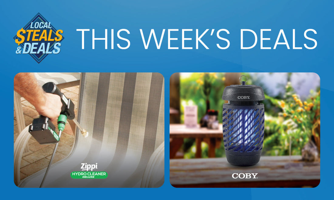 Blast Away Dirt & Zap Away Pests with Zippi COBY!