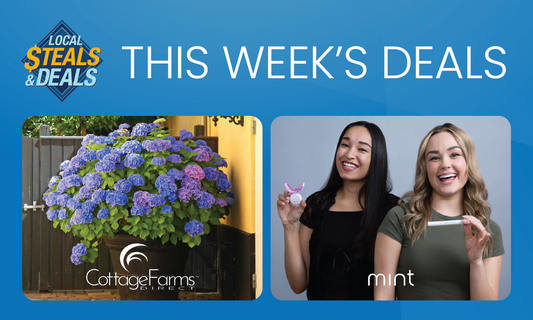 Brighten Your Home & Your Smile with Cottage Farms Direct and Mint!