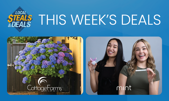 Brighten Your Home & Your Smile with Cottage Farms Direct and Mint!