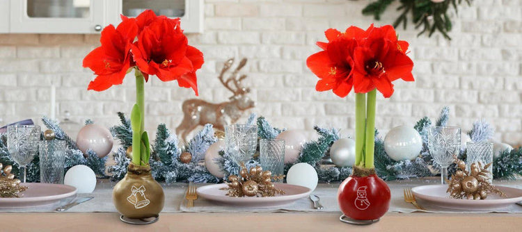 Cottage Farms Direct