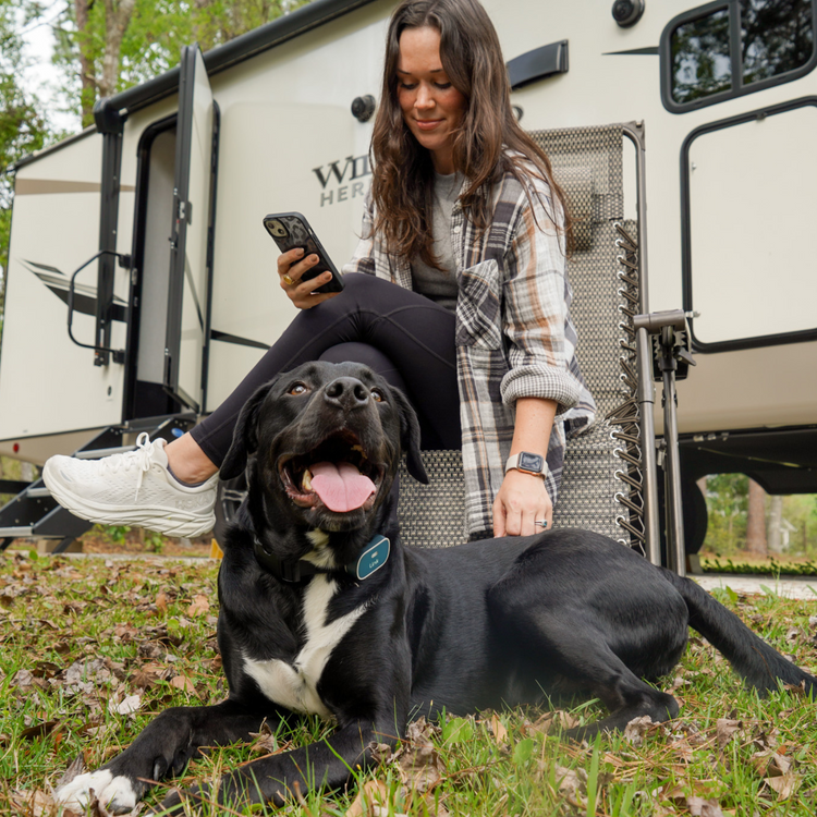 The Link Smart Pet Wearable