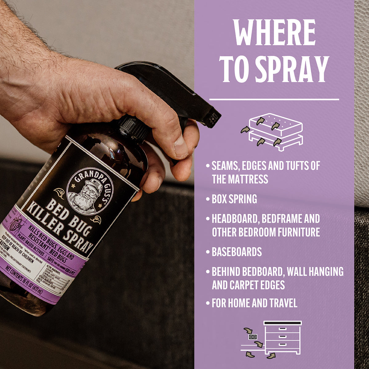 Hand holding a bottle of Grandpa Gus' Bed Bug Killer Spray with instructions on where to spray on a purple background.