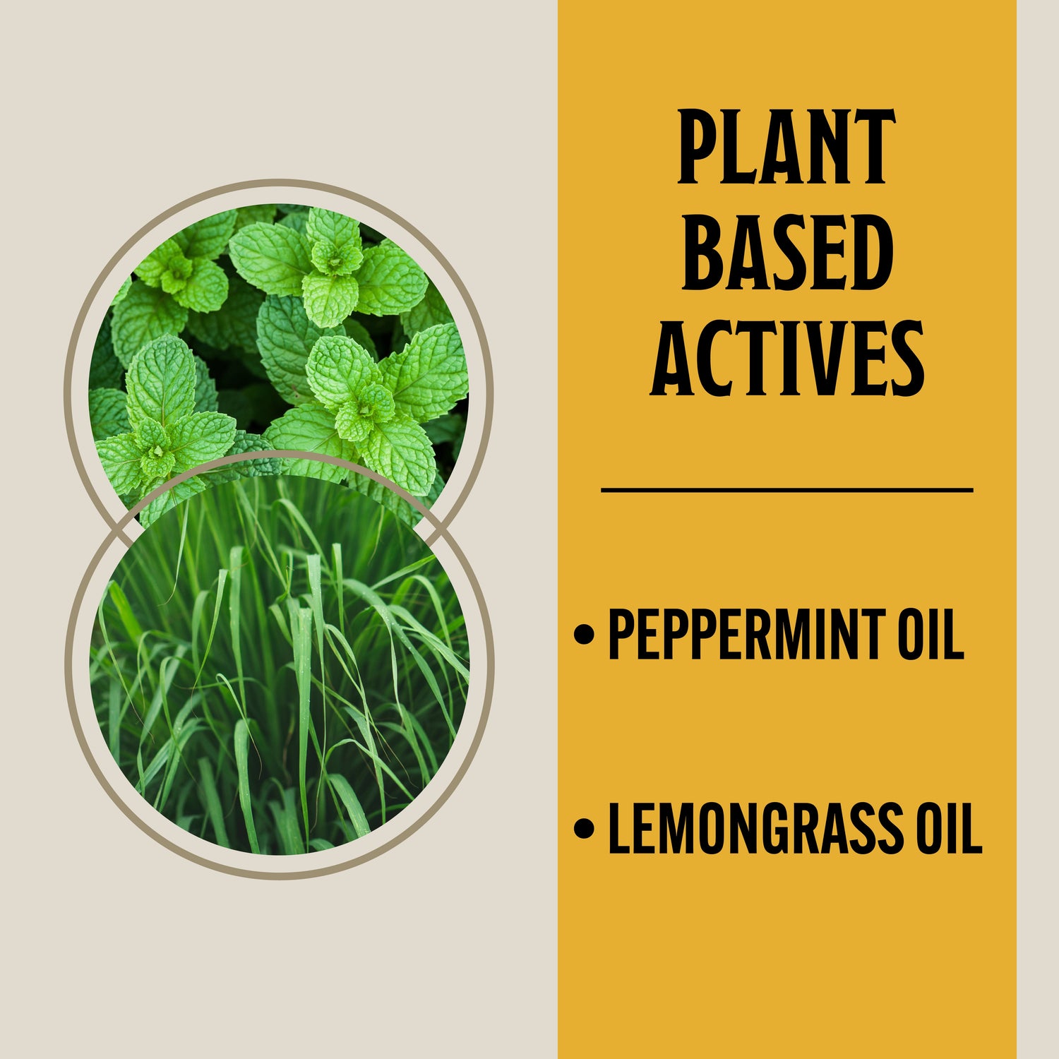 Product packaging with plant-based actives including peppermint and lemongrass oil on a beige and yellow background.