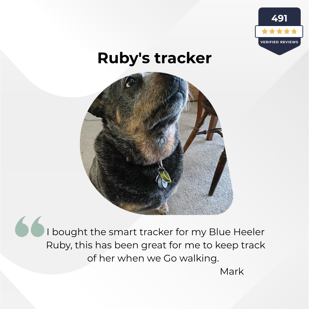 Dog wearing a tracker with a customer review and product rating displayed.