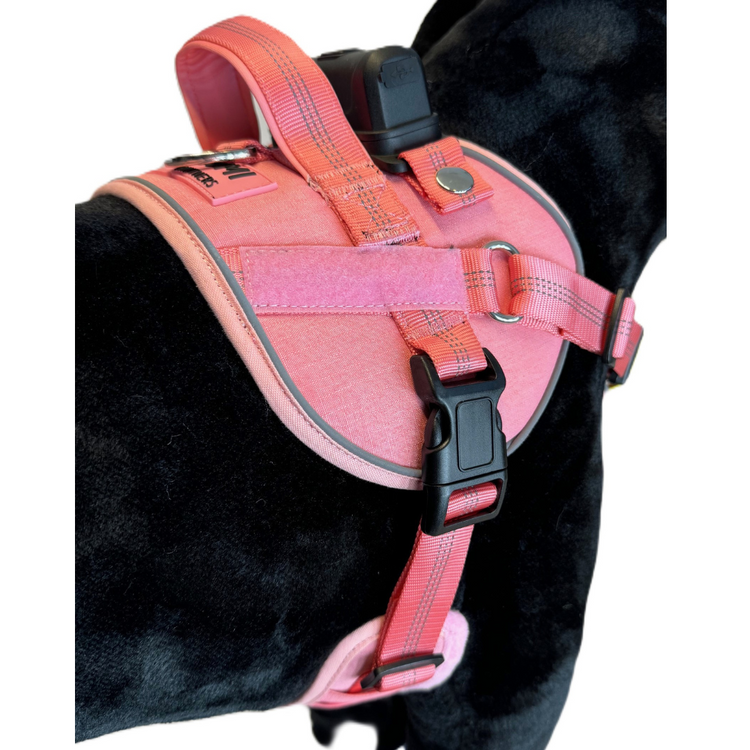 Lumi One Harness - Pink