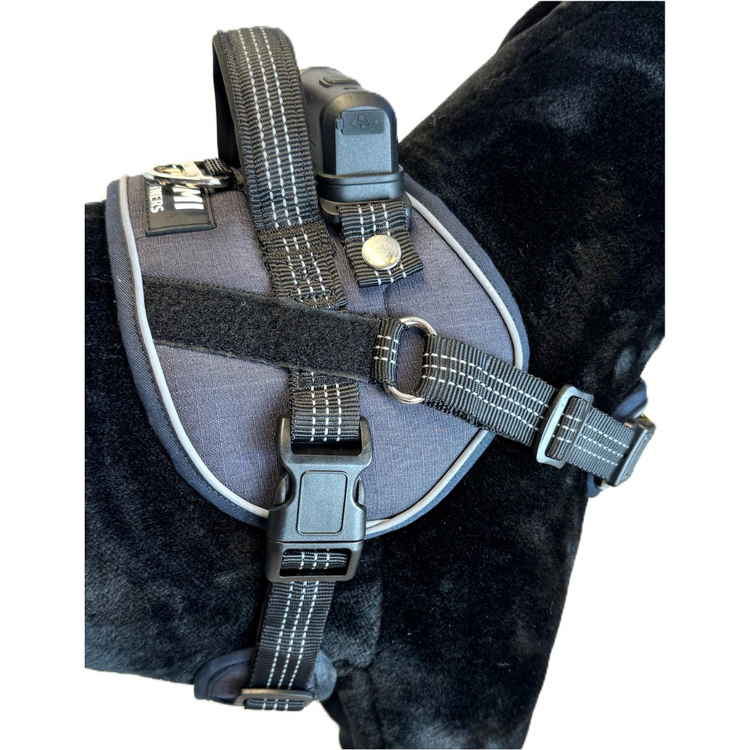 Lumi One Harness - Black