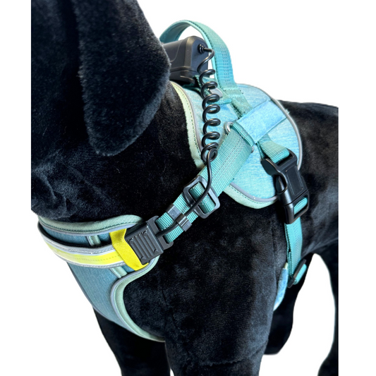 Lumi One Harness - Blue