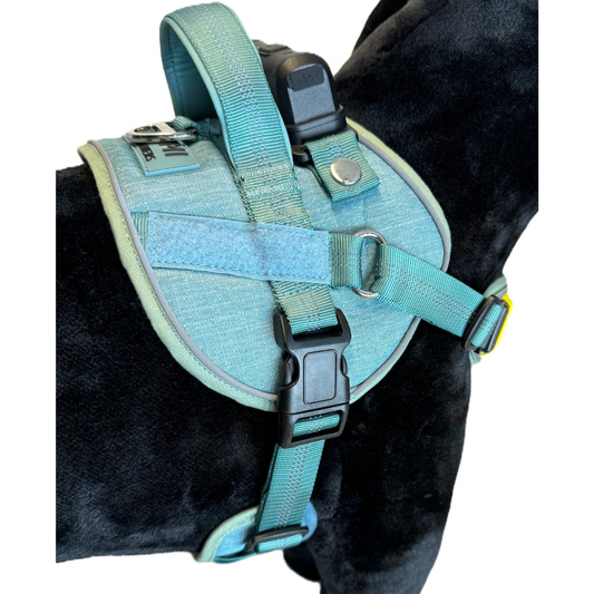 Lumi One Harness - Blue