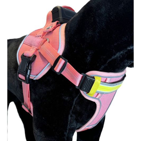 Lumi One Harness - Pink