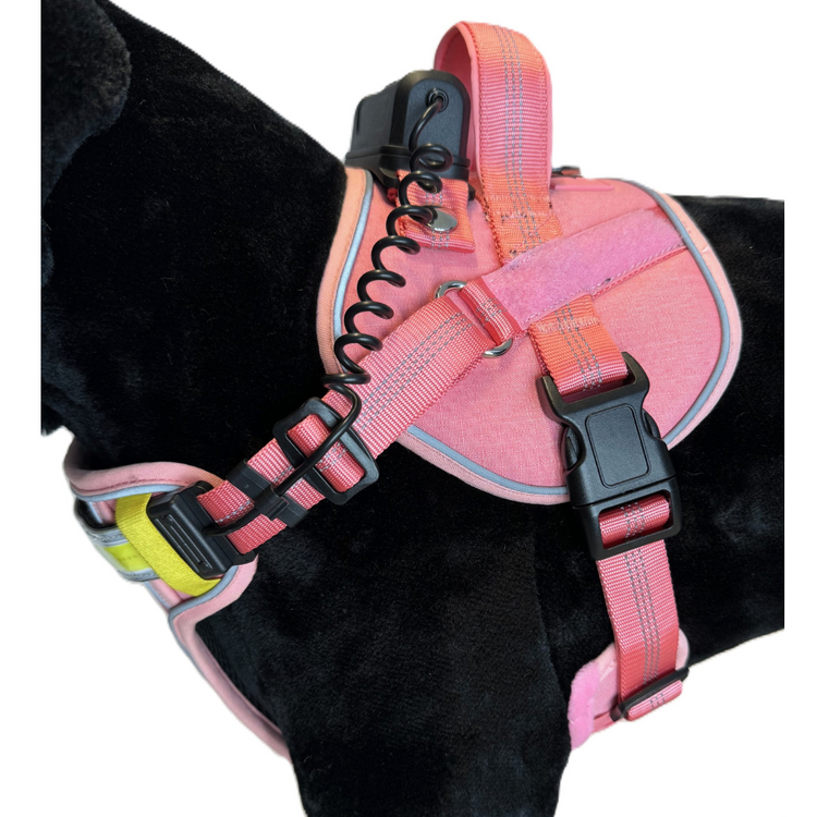 Lumi One Harness - Pink