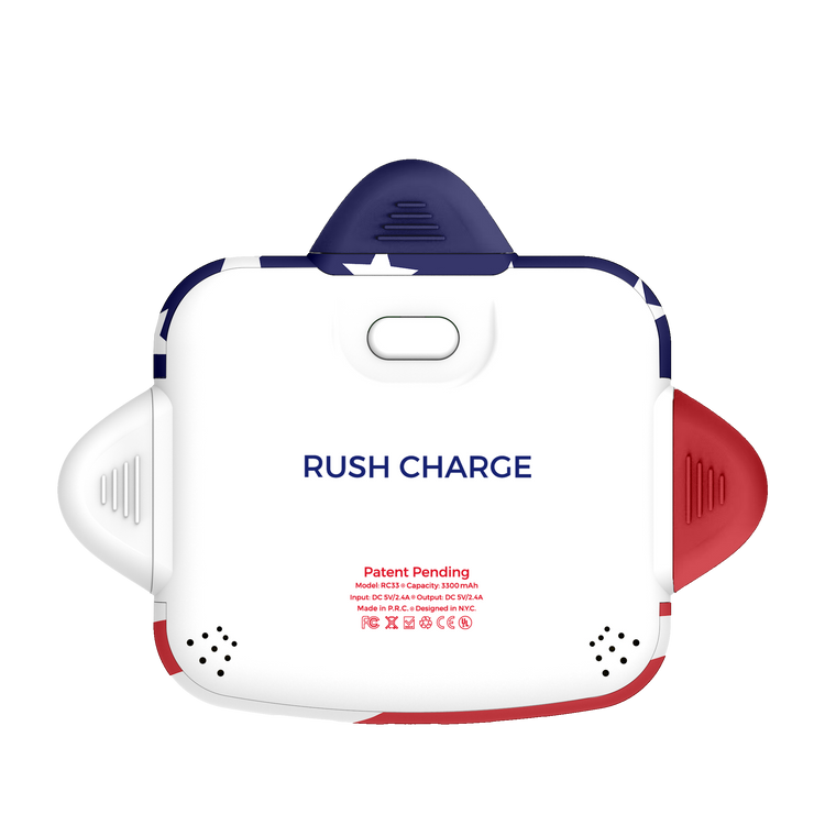 RC Universe 3-in-1 Charger