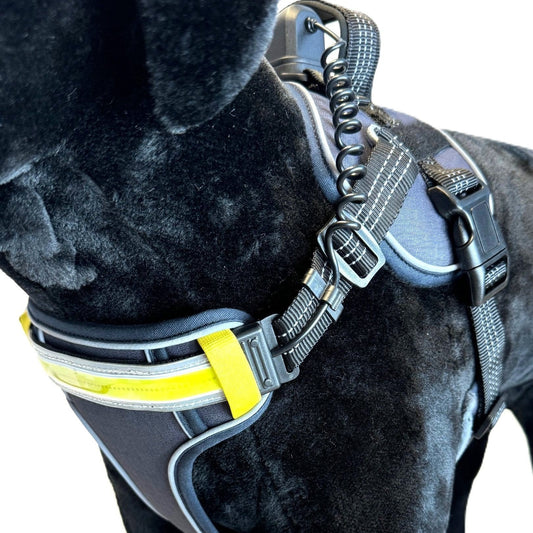 Lumi One Harness - Black