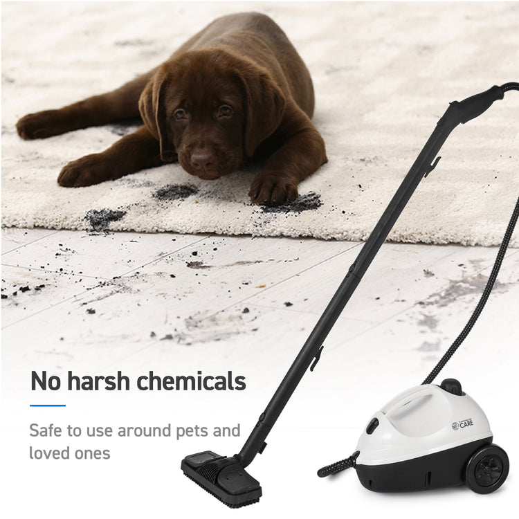 Multi-Purpose Steam Cleaner