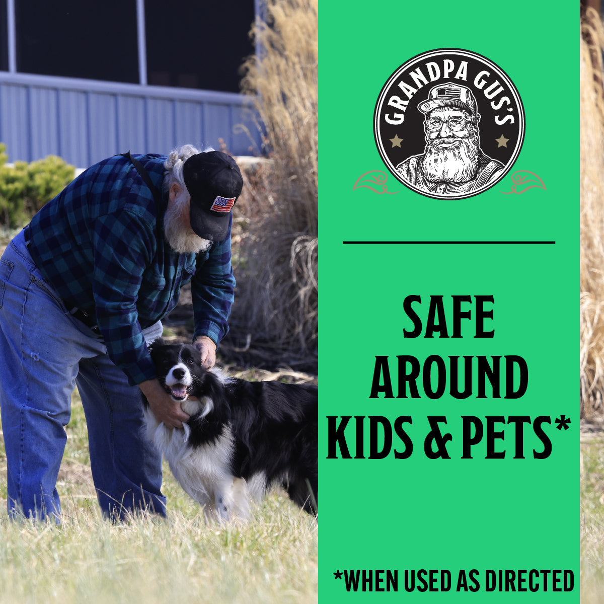 Man petting a dog with 'Grandpa Gus's' branding and text about safety around kids and pets on a green background.