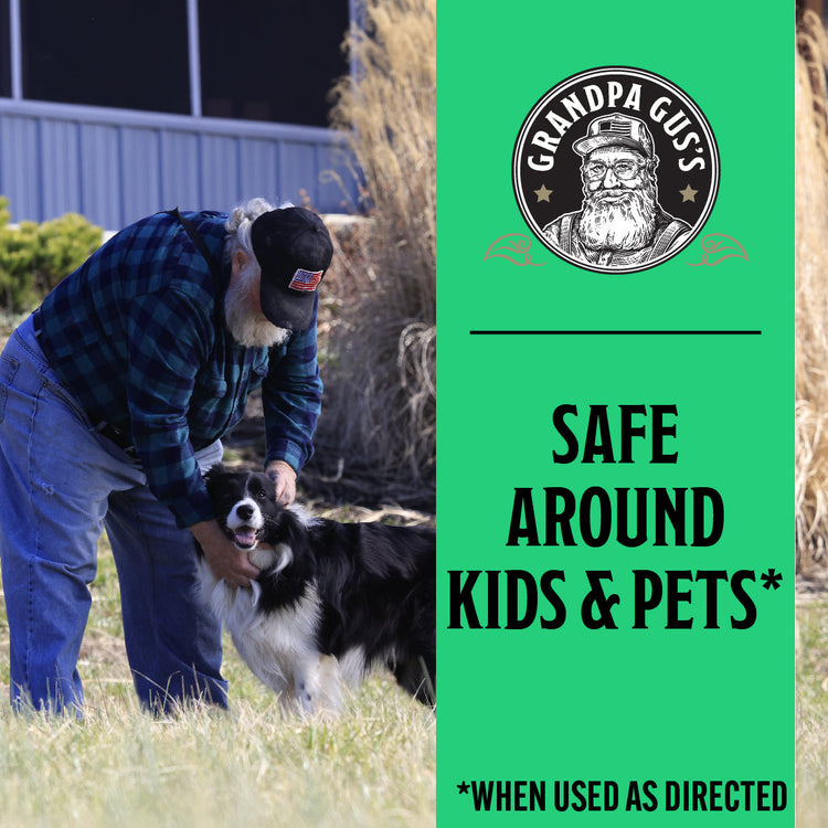 Man petting a dog with 'Grandpa Gus's' branding and text about safety around kids and pets on a green background.