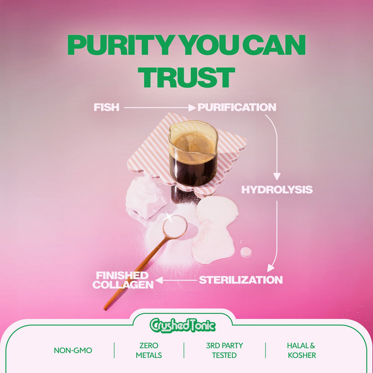 Diagram of collagen purification process with text 'Purity You Can Trust' on a pink background.