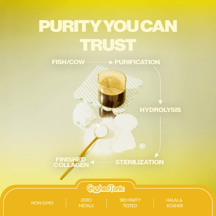 Diagram of a purification process with text 'Purity You Can Trust' on a yellow background.