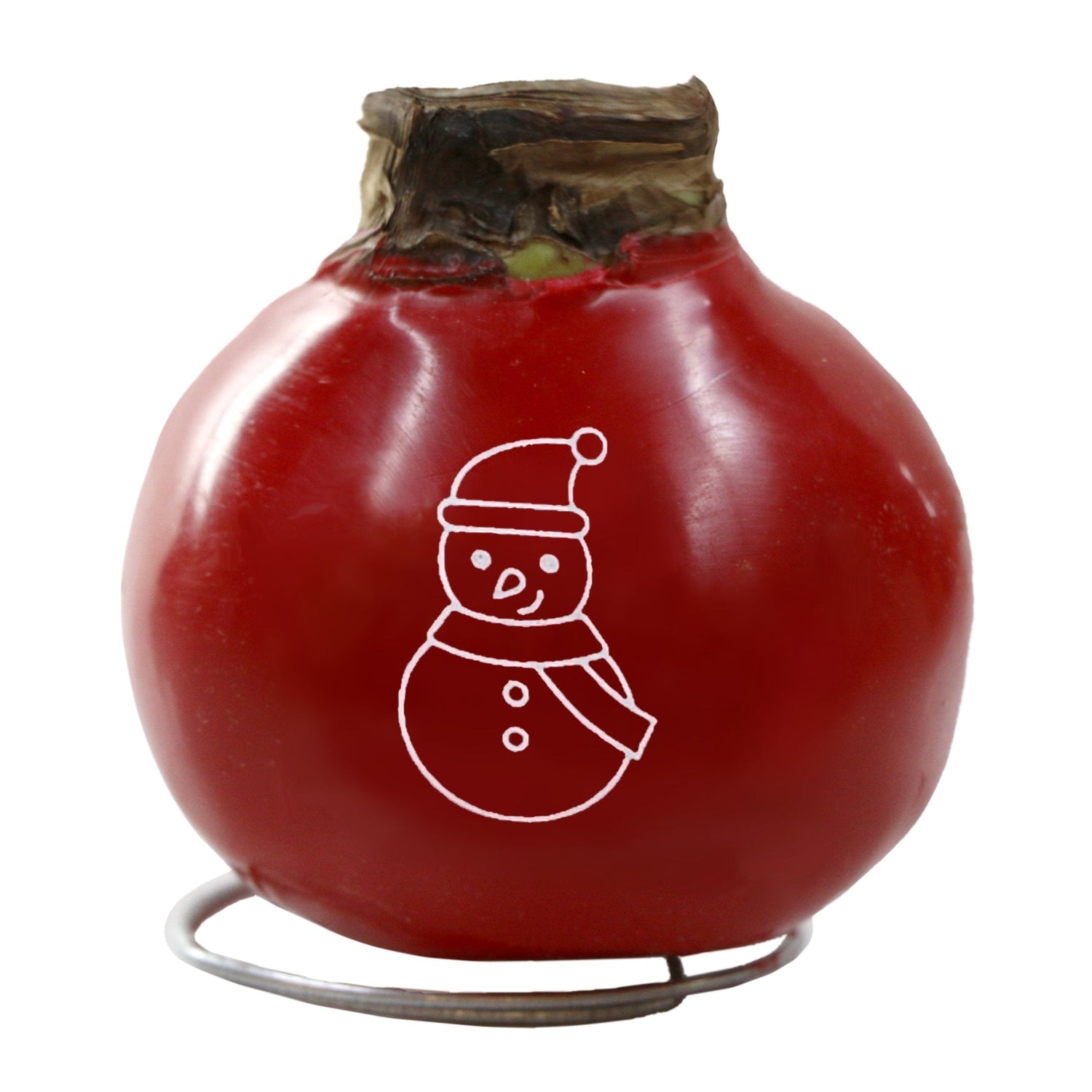 Red fruit with a snowman design on a white background