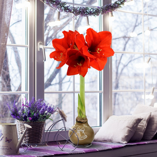 Red flowers in a vase on a windowsill with decorative items and a snowy outdoor view.