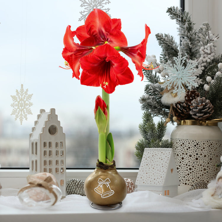 Red flowers in a vase on a windowsill with decorative items and a snowy scene outside.