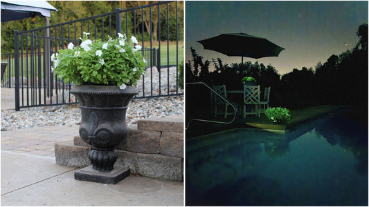 Two potted plants side by side, one with white flowers and the other with green leaves.