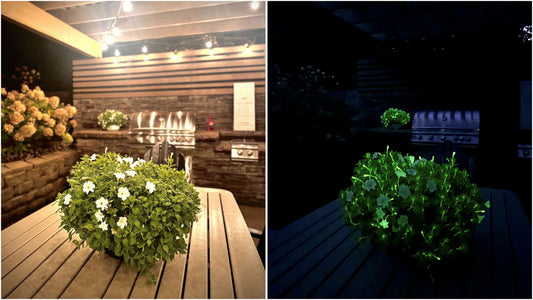 Two potted plants side by side, one with white flowers and the other with green leaves.