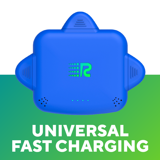 RC Universe 3-in-1 Charger