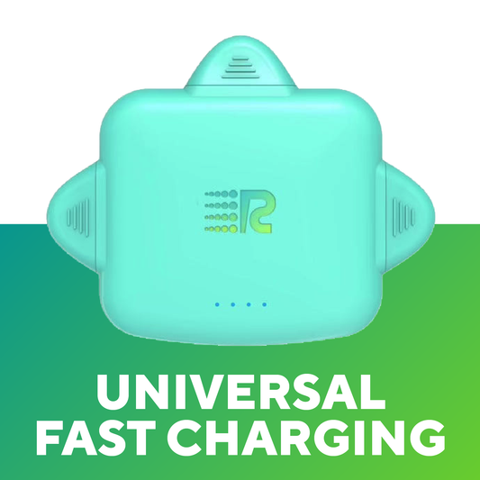 RC Universe 3-in-1 Charger
